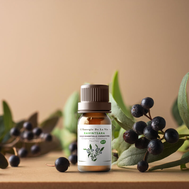 Huile essentielle bio ravinstara – L’Énergie de la Vie