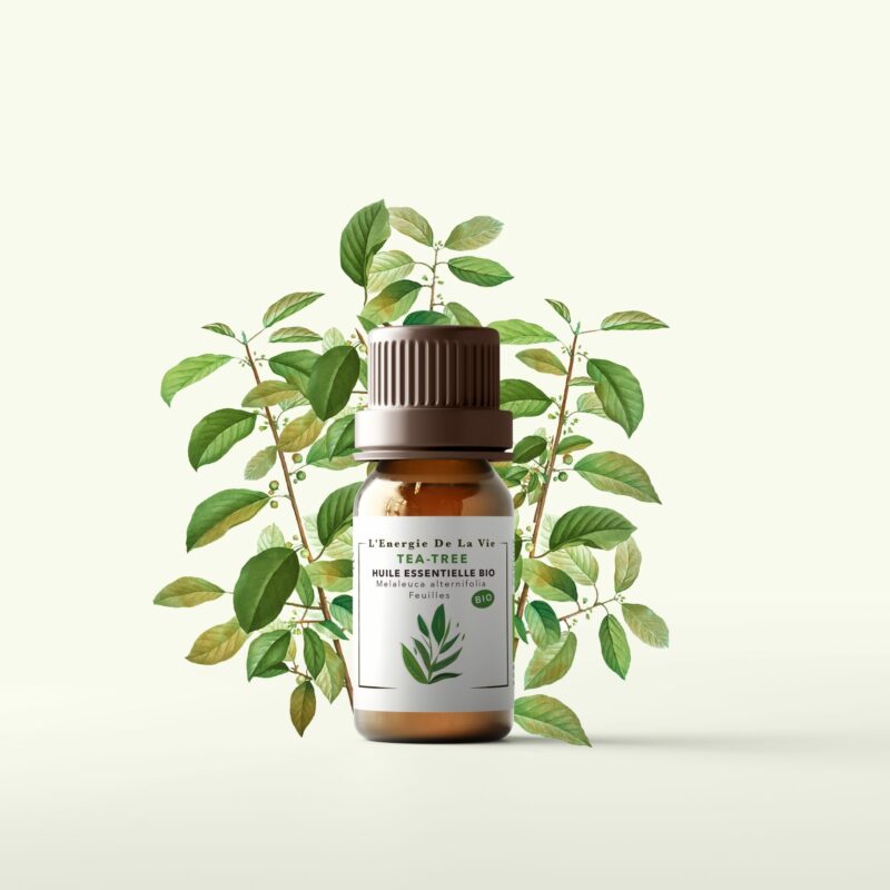 Huile essentielle bio tea tree – L’Énergie de la Vie