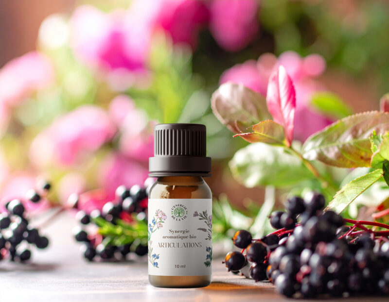 articulation synergie bio aromatique- l'énergie de la vie
