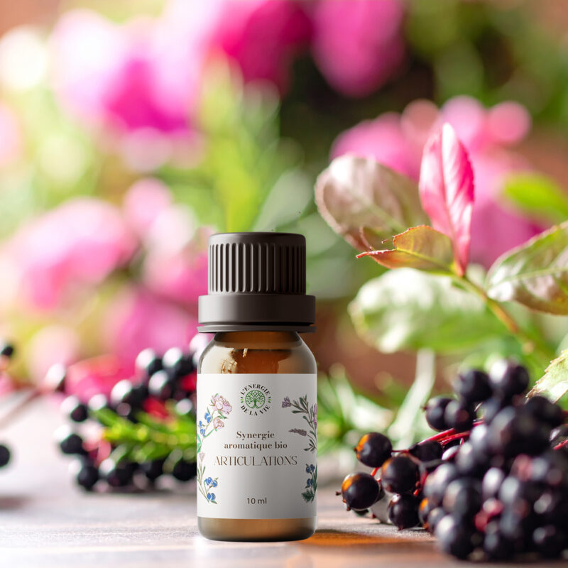 Articulations – Synergie aromatique bio