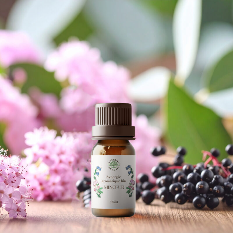 Minceur – Synergie aromatique bio