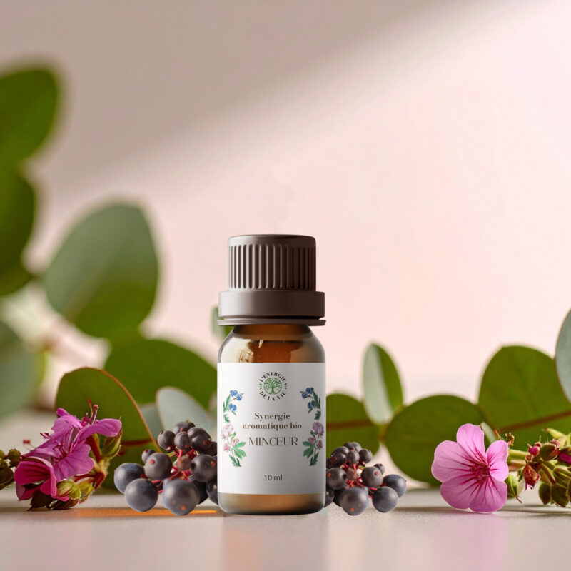 Minceur – Synergie aromatique bio