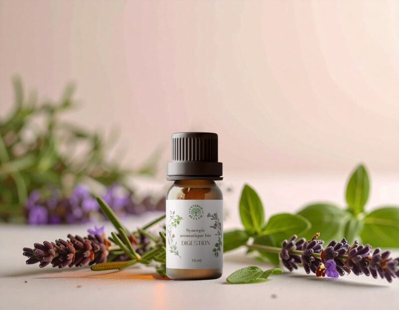 Digestion- Synergie bio - l'énergie de la vie