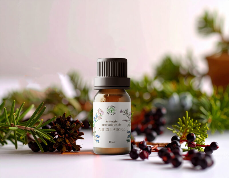 synergie armonatique bio - articulation - lenergie de la vie