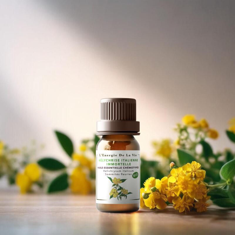 Huile essentielle bio hélichryse italienne – L’Énergie de la Vie