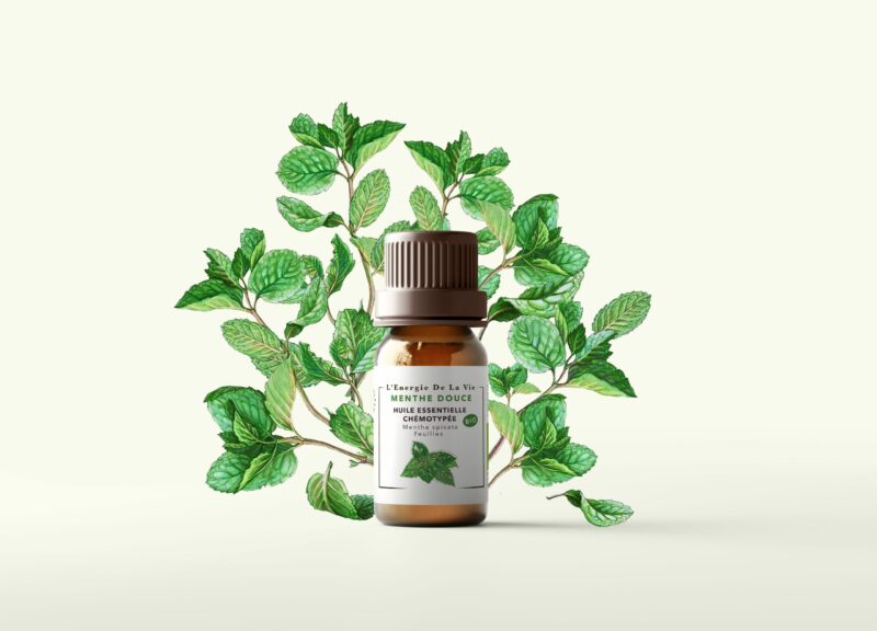 huile-essntielle-menthe-poivre-chemotype