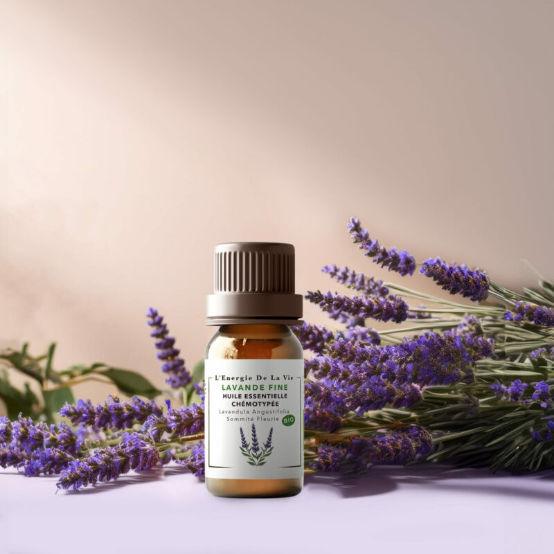 Huile essentielle bio lavande fine – L’Énergie de la Vie