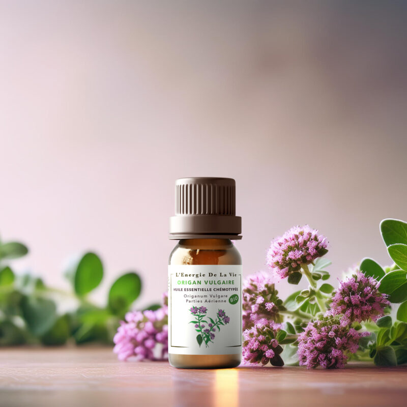Huile essentielle bio origan vulgaire – L’Énergie de la Vie