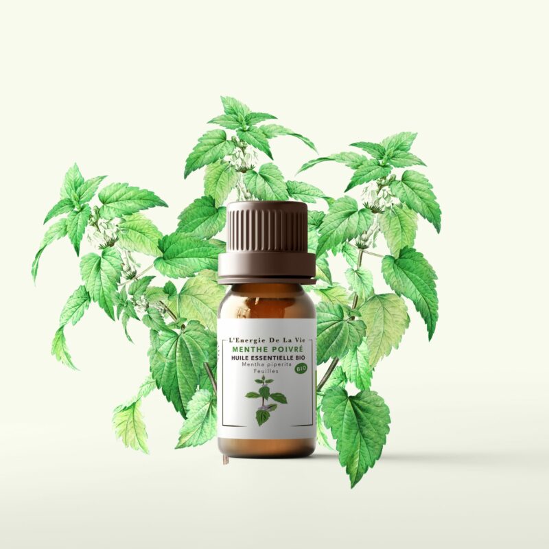 Huile essentielle bio menthe poivrée – L’Énergie de la Vie