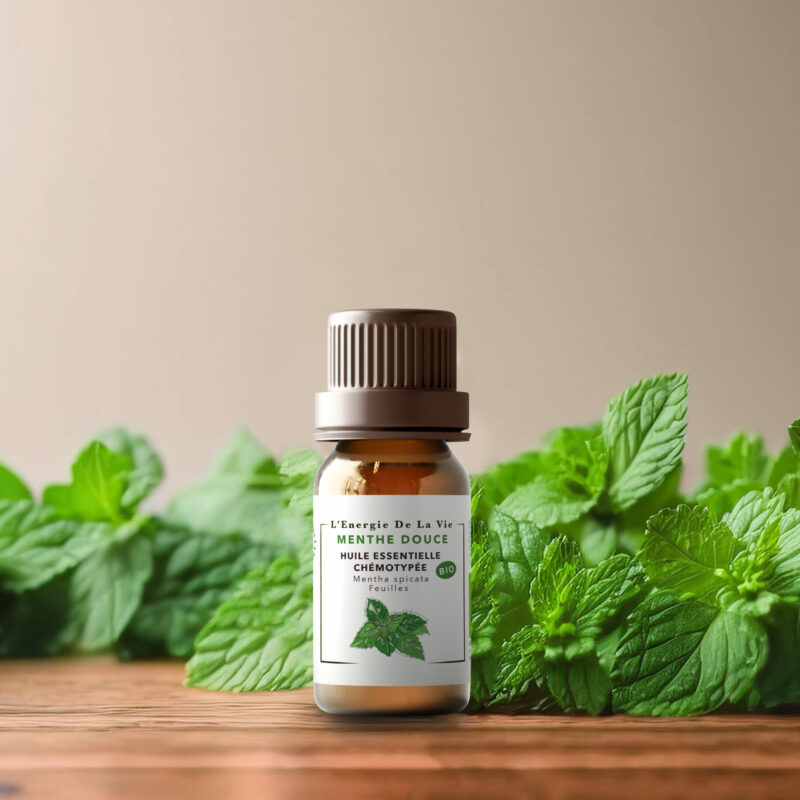 Huile essentielle bio menthe douce – L’Énergie de la Vie