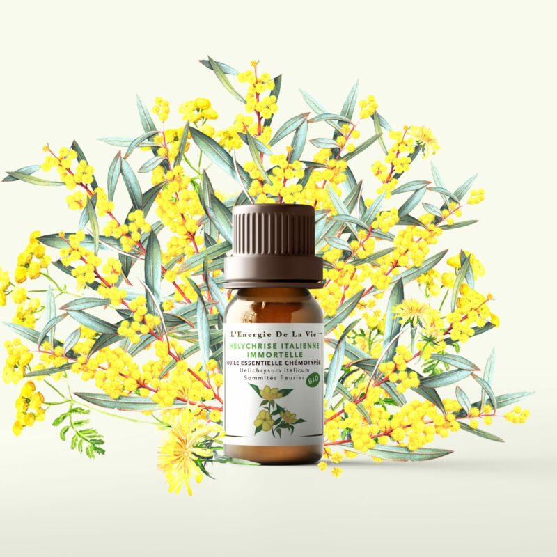 Huile essentielle bio hélichryse italienne – L’Énergie de la Vie