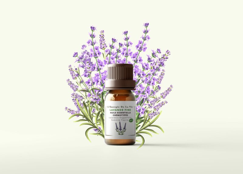 Huile essentielle bio - Lavande fine – Image 2