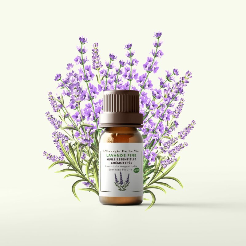 Huile essentielle bio lavande fine – L’Énergie de la Vie