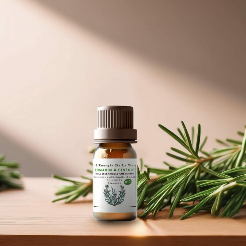 Huile essentielle bio romarin à cinéole – L’Énergie de la Vie