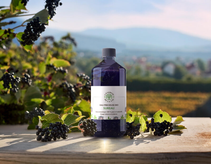 Eau précieuse bio de sureau - L'Energie de la vie