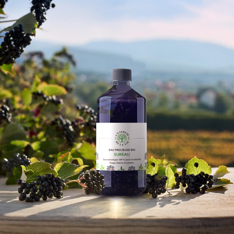 Eau précieuse bio – Sureau