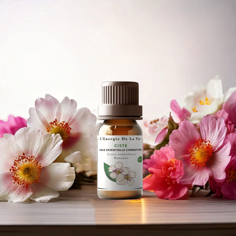 Huile essentielle bio ciste – L’Énergie de la Vie