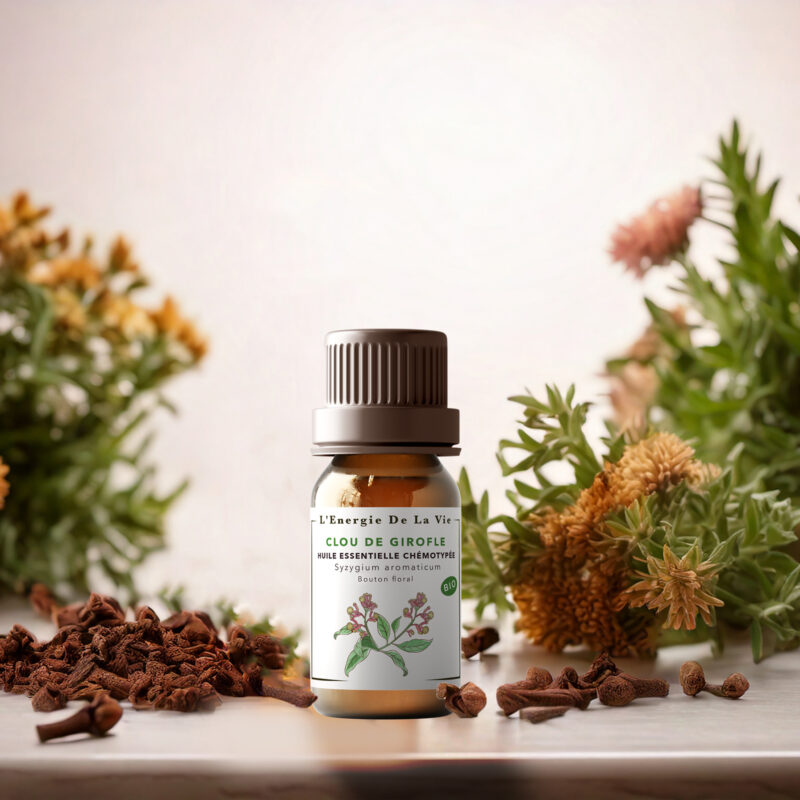 Huile essentielle bio clou de girofle – L’Énergie de la Vie