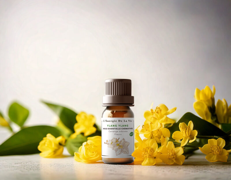 l’huile essentielle d’Ylang-Ylang bio, aux vertus relaxantes et équilibrantes. Idéale pour apaiser le stress, détendre les muscles et sublimer peau et cheveux. Un essentiel bien-être et beauté